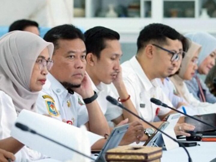 Plt Kepala Diskominfosantik Kalteng Sampaikan Laman humabetang.id Sebagai Pusat Verifikasi dan Validasi Data