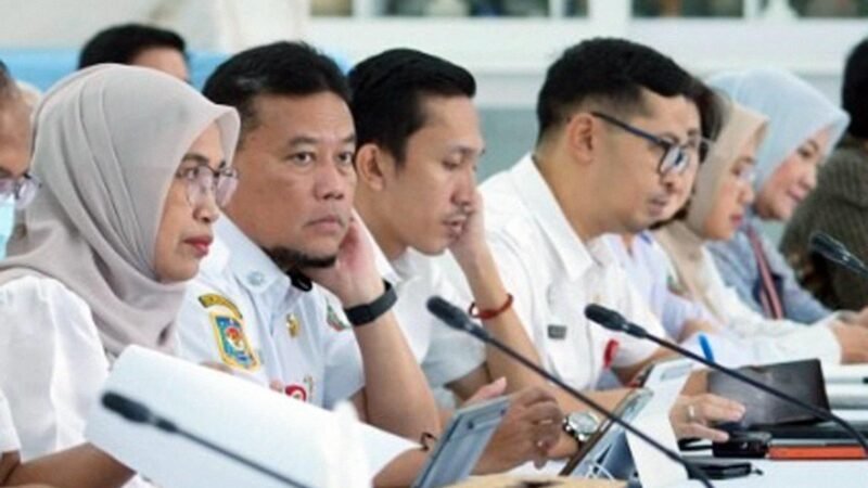 Plt Kepala Diskominfosantik Kalteng Sampaikan Laman humabetang.id Sebagai Pusat Verifikasi dan Validasi Data